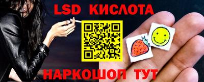 прущие грибы Чебоксары