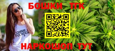 прущие грибы Чебоксары