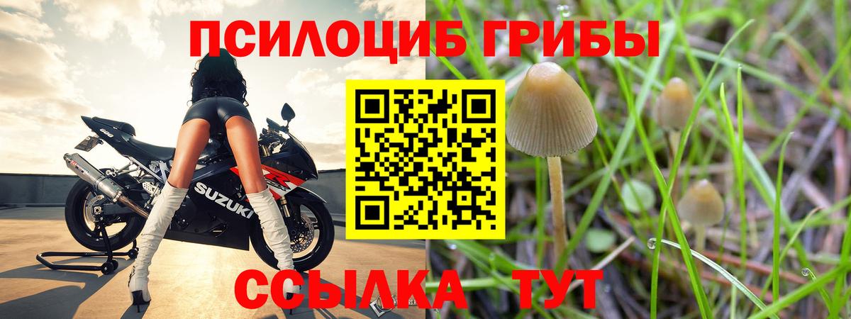 Галлюциногенные грибы GOLDEN TEACHER  Вход с VPN  Выборг 